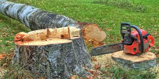 Best Tree Health Inspection  in Walker Valley, NY
